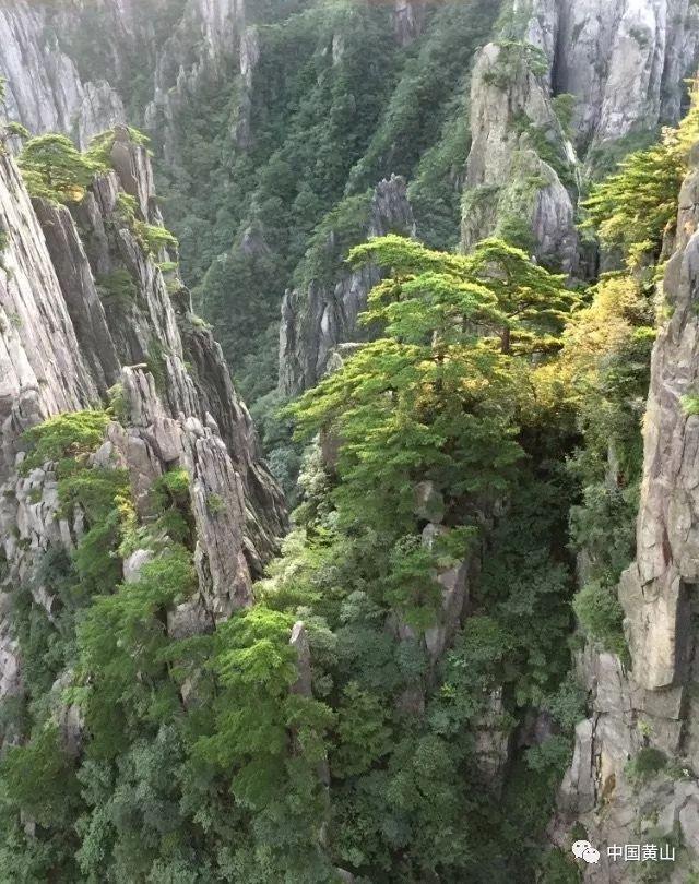 加强消防安全管理 建设平安和谐校园
