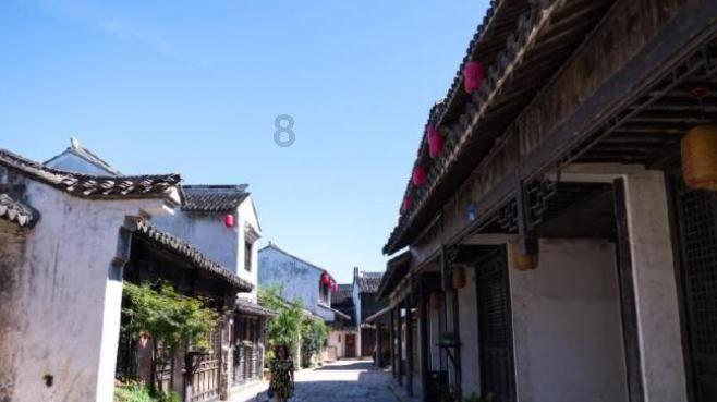 大S发声明驳收巨额赡养费！张兰直播第一反应：丢人现眼